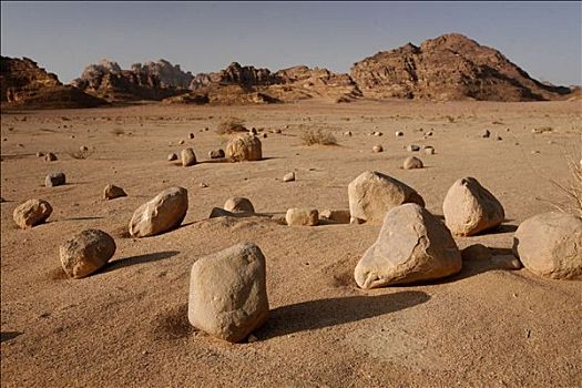 石头,躺着,荒芜,地面,瓦地伦,约旦