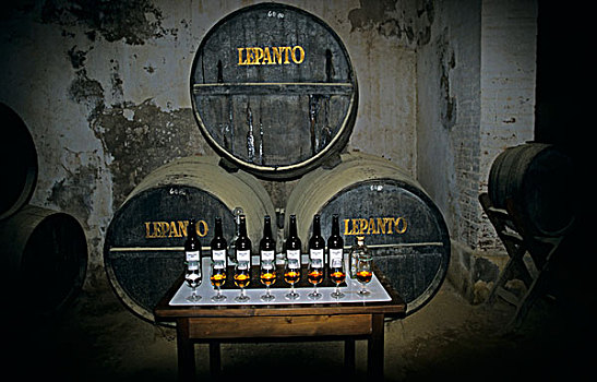 雪利酒,洞穴,葡萄园,展示,安达卢西亚,西班牙,欧洲