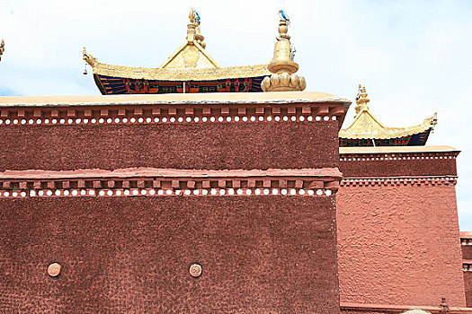 西藏拉萨布达拉宫红宫的宫墙白玛草,学名怪柳,墙