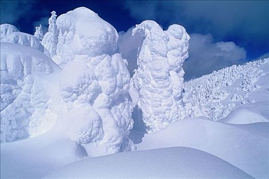 雪,灵异,太阳,顶峰,不列颠哥伦比亚省,加拿大