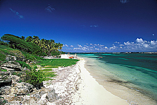 西印度群岛,马提尼克岛,帽,海滩