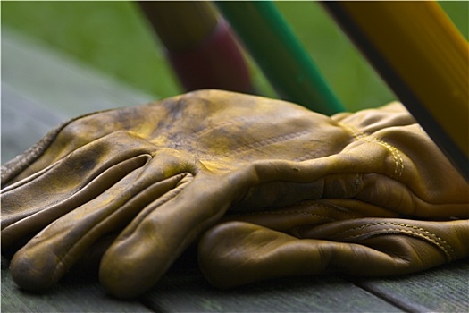 黄色,皮革,花园,手套