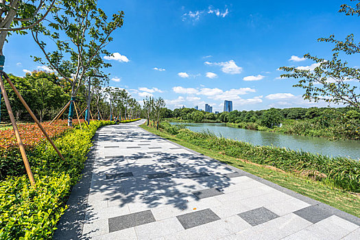 空旷广场与城市天际线