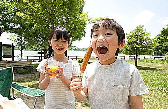 家庭,吃,野餐