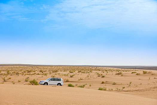 沙漠中的交通工具图片