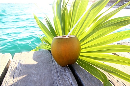 椰树,鸡尾酒,棕榈树,叶子,加勒比