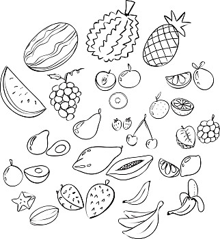 水果,矢量,插画,许多,涂写,风格