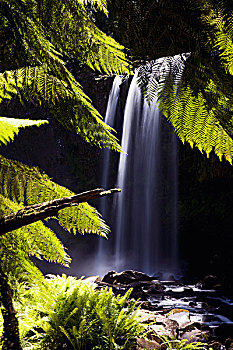 瀑布,奥特韦国家公园,海洋,道路,维多利亚,澳大利亚