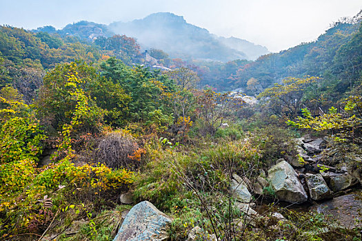 凤凰山