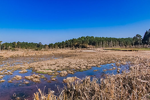 福建省长汀县汀江国家湿地公园自然环境
