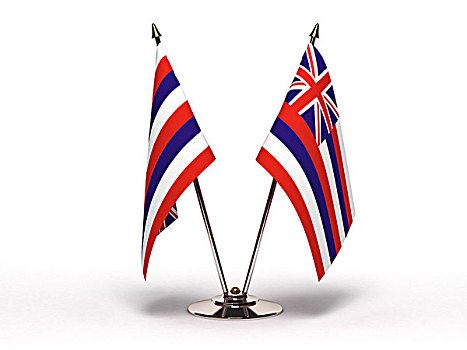 微型,旗帜,夏威夷,隔绝