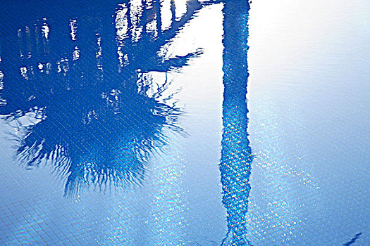 西班牙,区域,阿利坎特,白色海岸,棕榈树,反射,游泳池