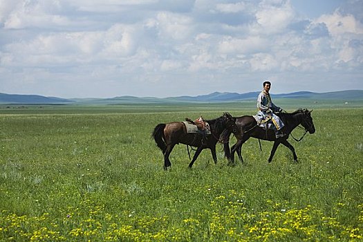 骑手,马,内蒙古,中国
