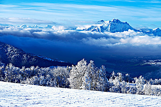 山,皮拉图斯,冬天,风景,湖,前景,瑞士,欧洲