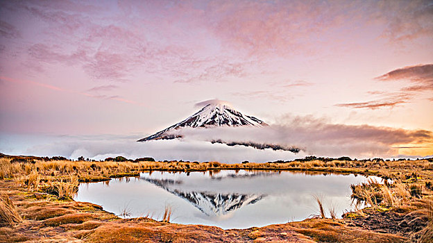 反射,山中小湖,层状火山,塔拉纳基,日落,艾格蒙特国家公园,北岛,新西兰,大洋洲