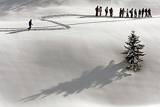 自然,滑雪道,阿尔卑斯山