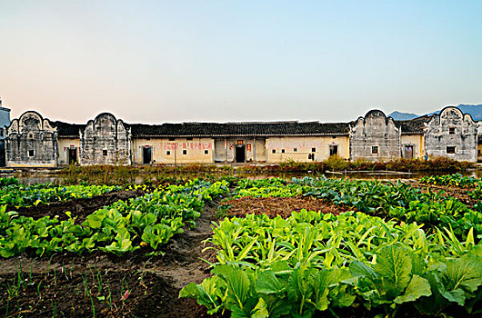 和平土屋,广东和平,乡村建筑