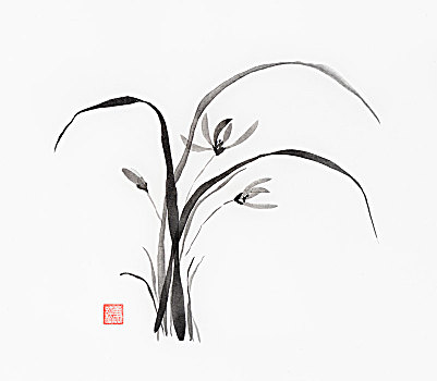 野外,兰花,艺术,亚洲,风格,插画,日本,禅,墨水,绘画,白色背景,糯米纸