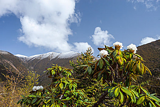 四川山区