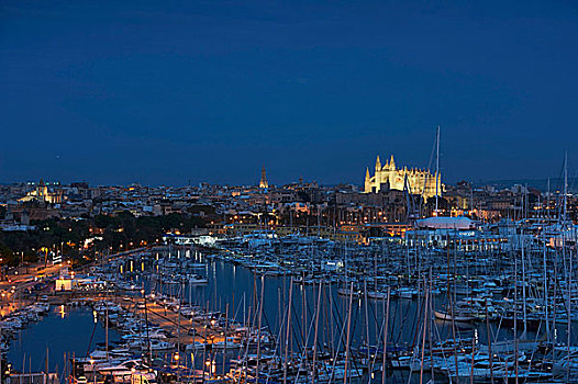风景,港口,大教堂,帕尔玛,夜晚,马略卡岛,西班牙
