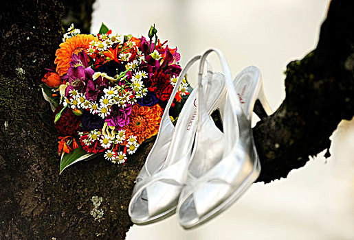 新娘,花束,银,婚礼,鞋,悬挂,树