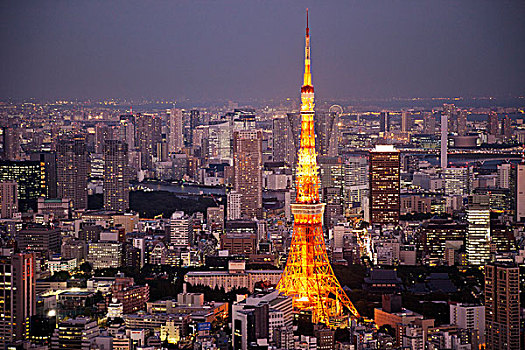 东京塔,城市天际线,景色,塔,东京,日本