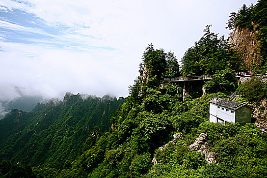 洛阳老君山