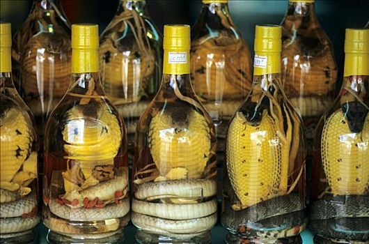 蛇,烈性酒,催情剂,胡志明市,西贡,越南,亚洲