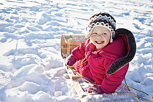 女孩,粉色,儿童风雪服,骑,雪橇,雪,云杉,小树林,艾伯塔省,加拿大