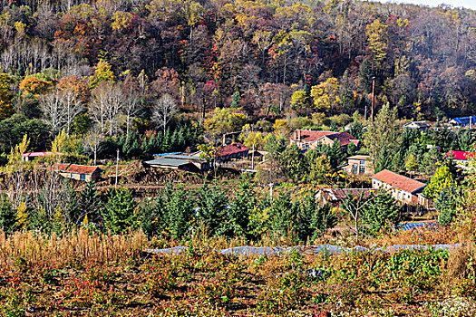秋天山谷里的村庄