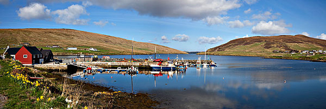 船,码头,设得兰群岛,苏格兰