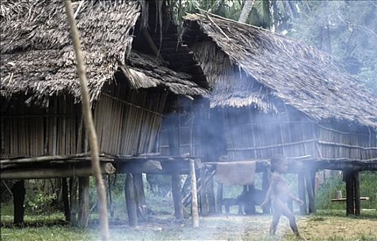 传统,房子,河,地区,巴布亚新几内亚