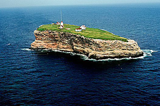 俯视,鸟,岛屿,魁北克