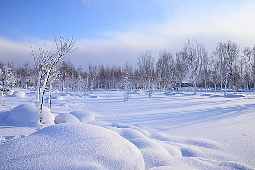 雪景