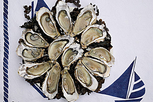 牡蛎,大浅盘,桌布,装饰,船,布列塔尼半岛,法国