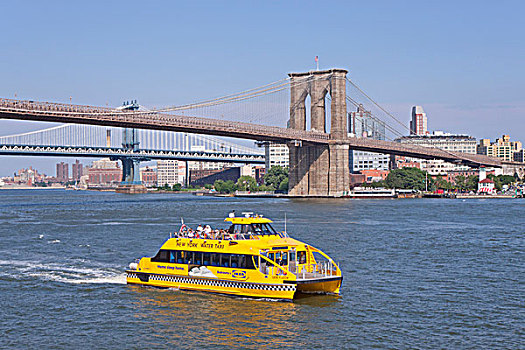水,出租车,正面,布鲁克林,桥,纽约,美国