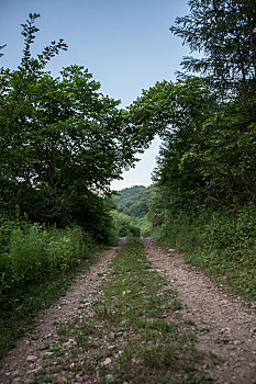 山间小路