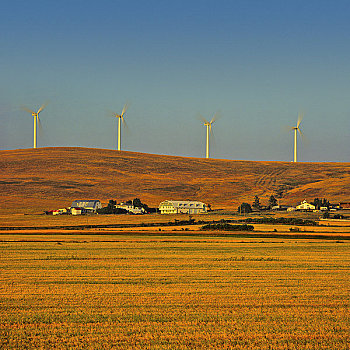 农场,风轮机,背景,艾伯塔省,加拿大