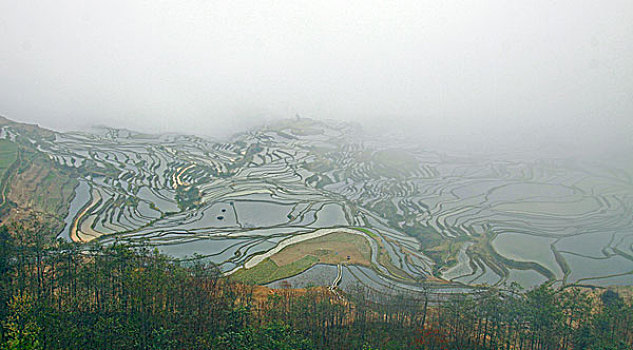 云南元阳梯田