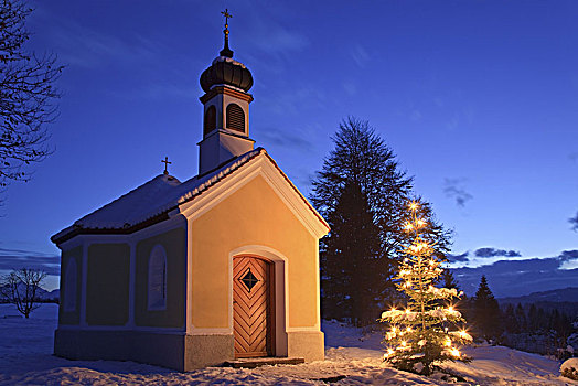 圣诞树,小教堂,玛丽亚,靠近,上巴伐利亚,巴伐利亚,德国