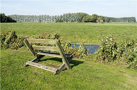 长椅,草地,荷兰