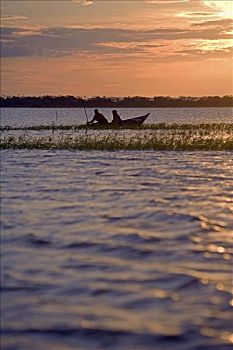 巴西,亚马逊河,塔帕若斯河,支流,日落,河,捕鱼者,抓住