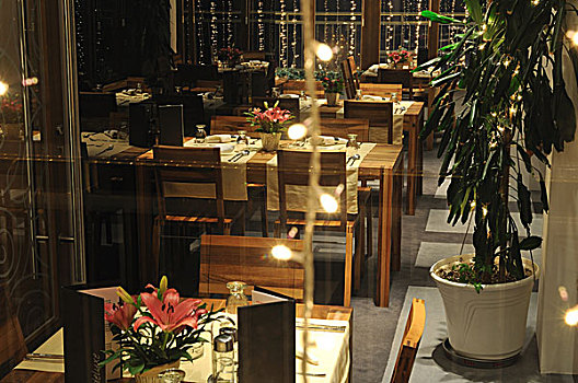 奢华,现代,室内,餐馆,木椅,桌子