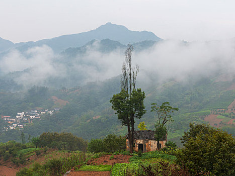 云雾坡山