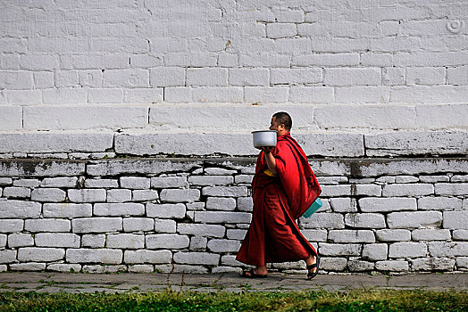 僧侣,走,寺院,院落,庙宇,布姆唐,地区,不丹,亚洲
