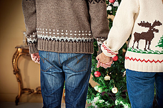 情侣,握手,圣诞树
