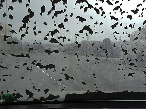 火山灰,山,喷发,2009年,外套,挡风玻璃,汽车,阿拉斯加