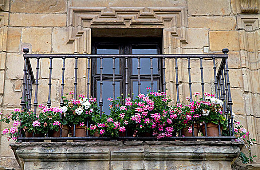 阳台,装饰,花,桑蒂亚纳德尔玛卢,坎塔布里亚,西班牙