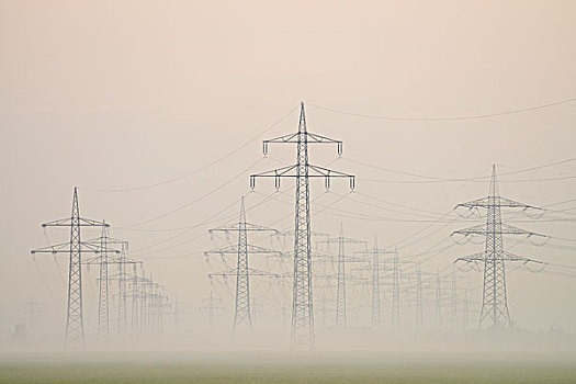 电线,晨雾,黑森州,德国,欧洲