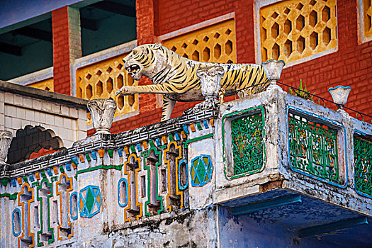 装饰,露台,虎,雕塑,瓦拉纳西,印度
